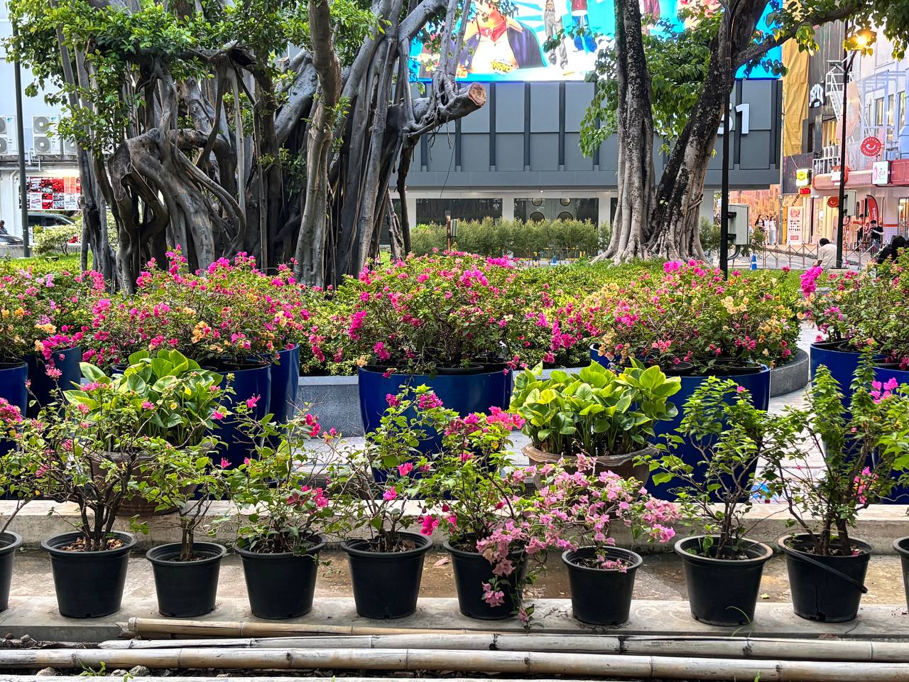 PARK@SIAM