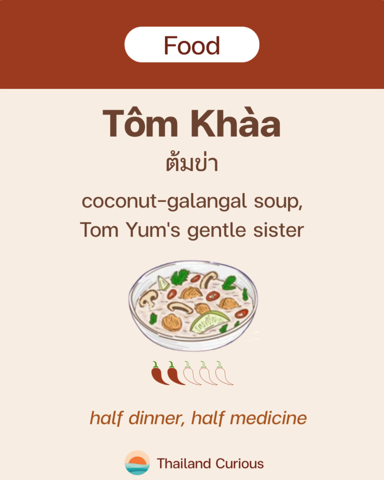 Tom kha literally means boiled galangal; khaa is galangal, a root that looks like ginger but is a different plant