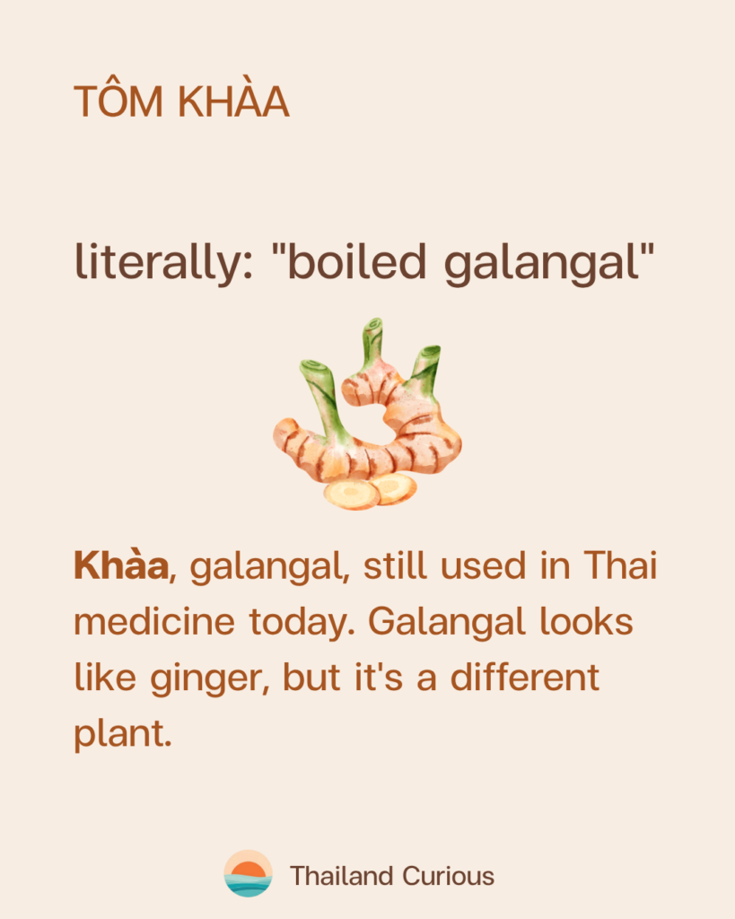 Tôm khàa (ต้มข่า), a Thai coconut-galangal soup, the gentle sister of Tom Yum