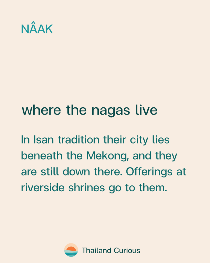 In Isan tradition the nagas' city lies beneath the Mekong, where offerings at riverside shrines go to them