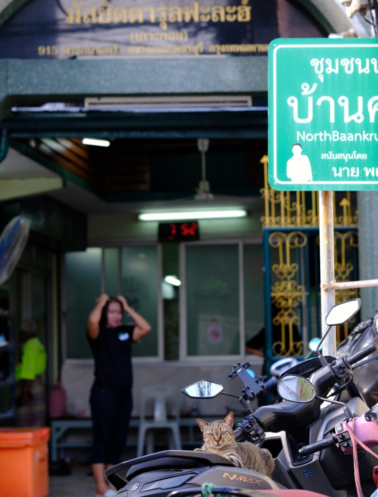 Cat resting on a motorbike outside Darul Falah Mosque, Ban Khrua