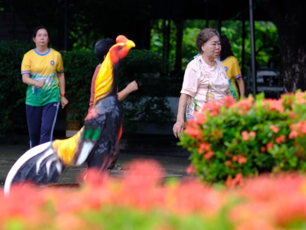 Elderly residents exercising in Teochew Cemetery Park in the morning