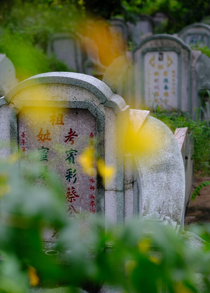 Horseshoe-shaped Chinese headstone behind yellow flowers, Teochew Cemetery